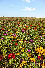 同人逼死官方 《辐射4》Mod《辐射：伦敦》预告片发布